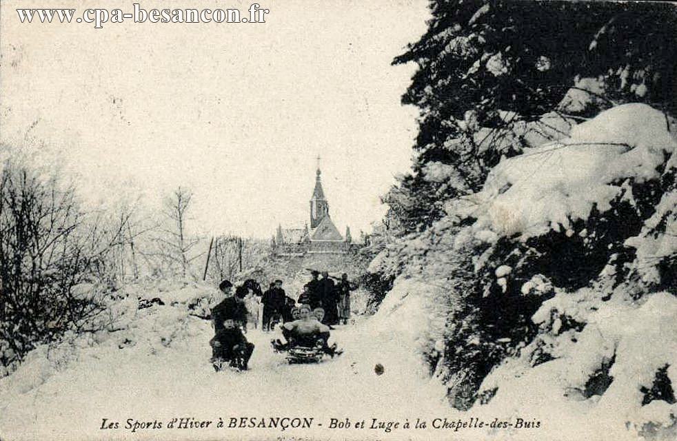 Les Sports d Hiver à BESANÇON - Bob et Luge à la Chapelle-des-Buis